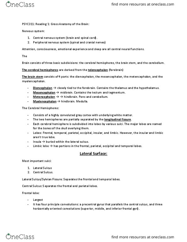 PSYC 311 Chapter Notes - Chapter Reading 1 - Neuroanatomy: Inferior Frontal Gyrus, Limbic Lobe, Central Sulcus thumbnail